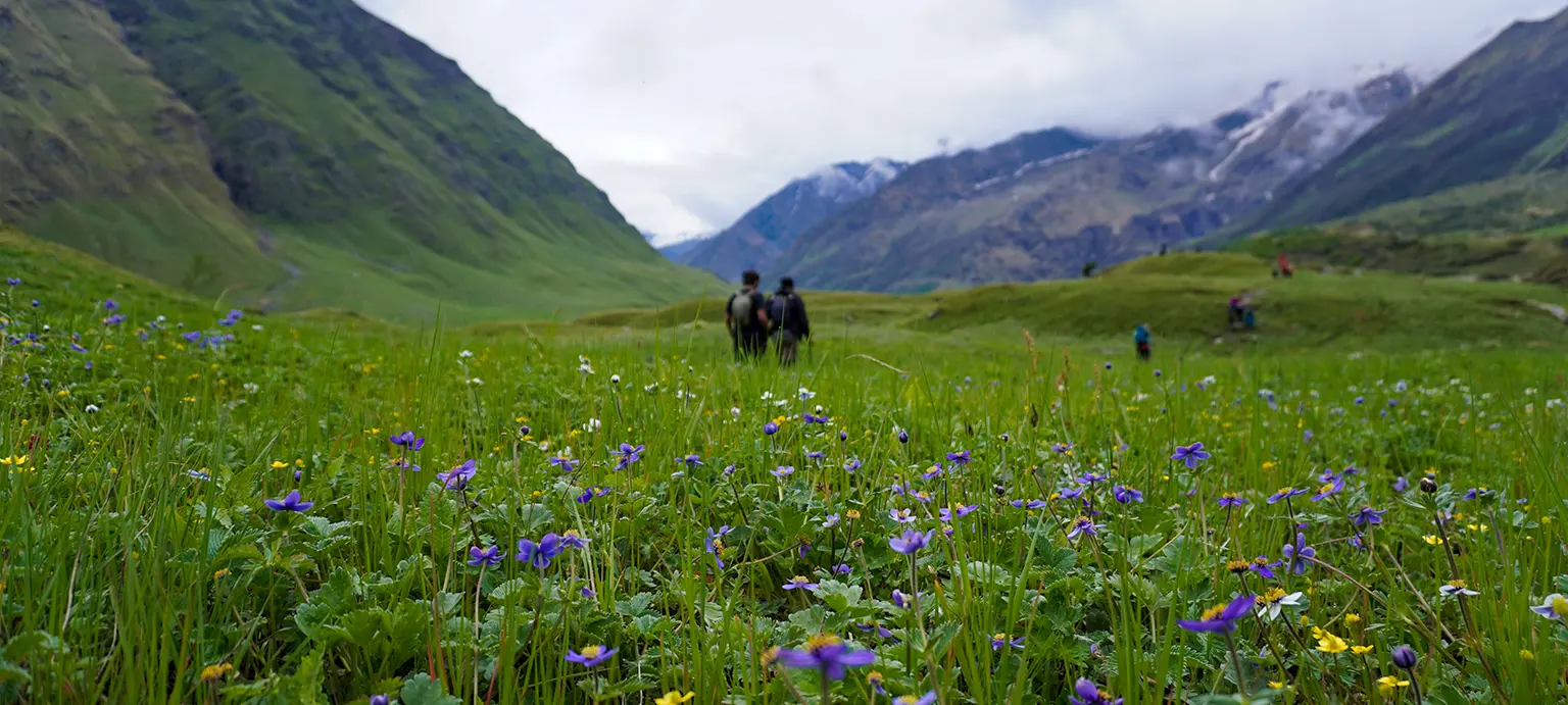 Bali Pass Trek
